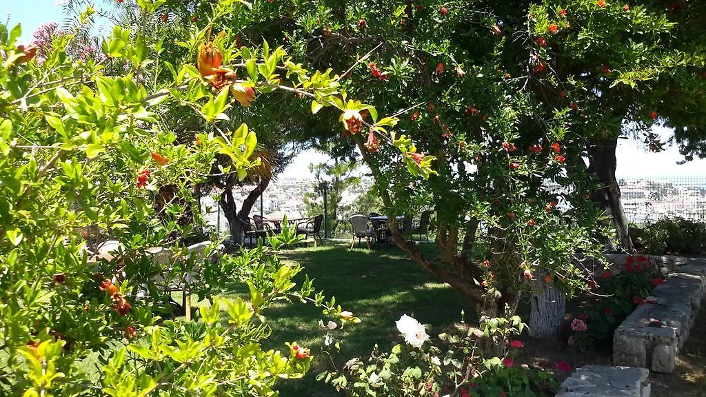 Dalyan Kucuk Ev Butik Hotel Çeşme
